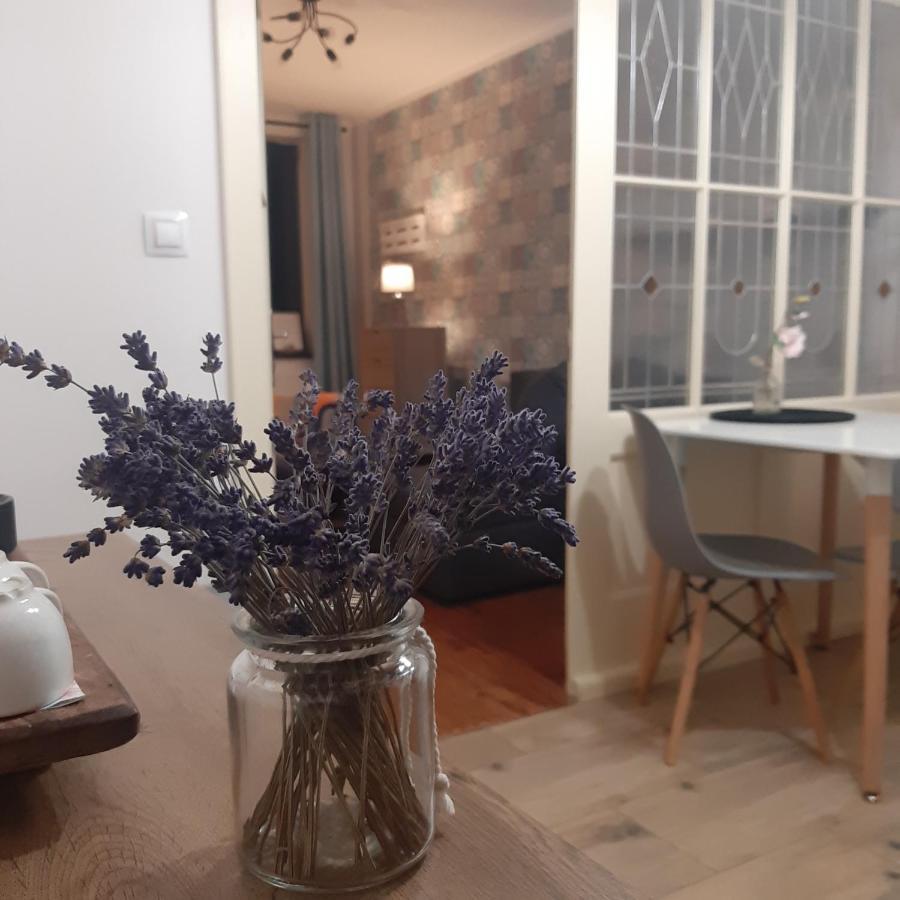 Apartmán u Javorů Varnsdorf Exterior foto